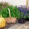 20 Bundles Artificial Plants Outdoor, Artificial Flowers for Outdoors